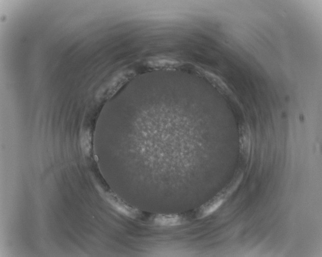 X0000078860767200611271412