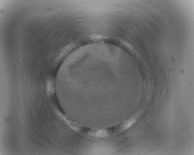 X0000078860768200611271412