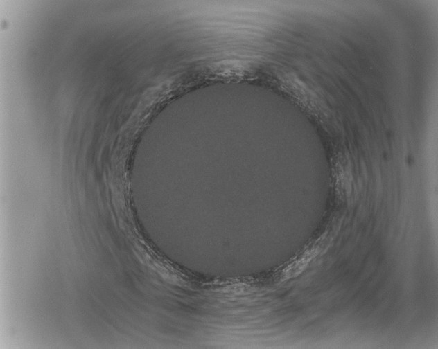 X0000078860769200611271411