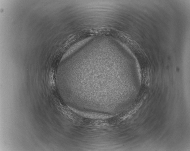 X0000078860770200611271411