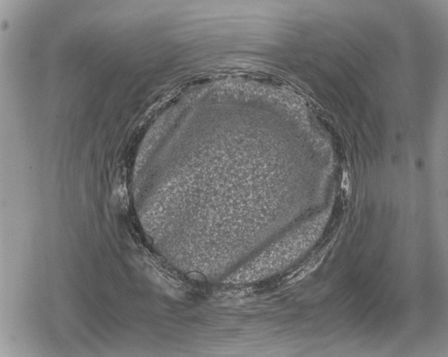 X0000078860771200611271411