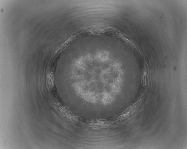 X0000078860772200611271411