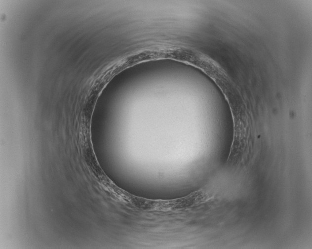 X0000078860773200611271411