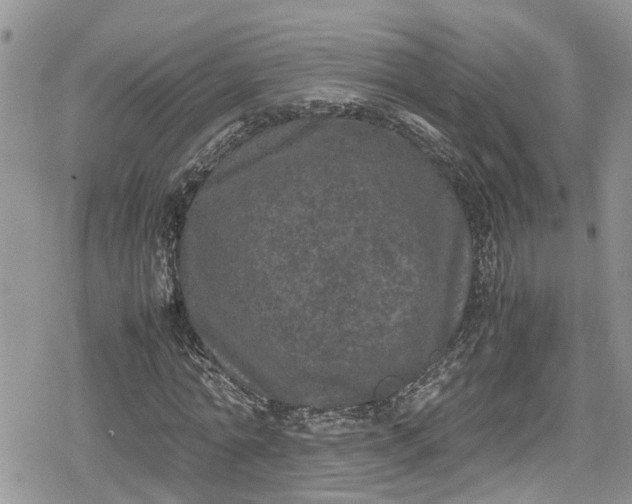 X0000078860774200611271411