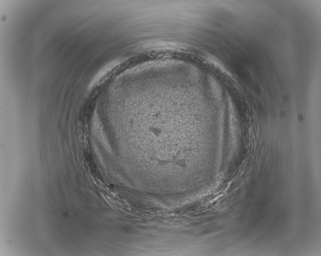 X0000078860775200611271411