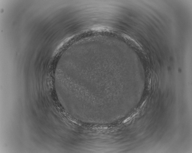 X0000078860776200611271411