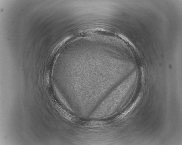 X0000078860777200611271411