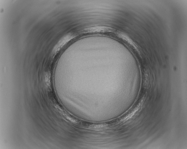 X0000078860778200611271411