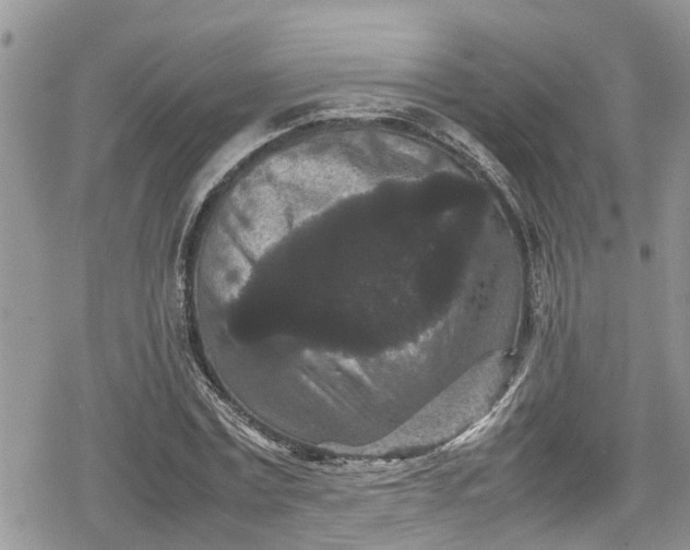 X0000078860779200611271411