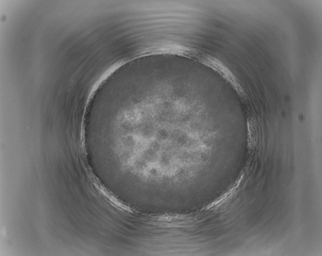 X0000078860780200611271411