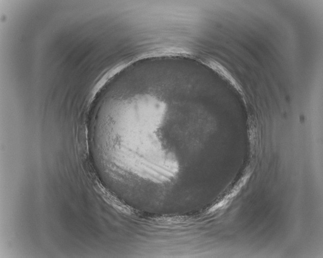 X0000078860781200611271411