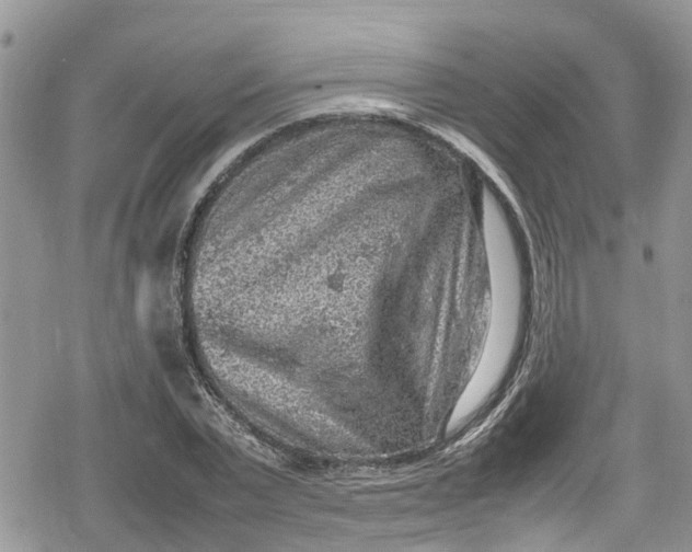 X0000078860783200611271411