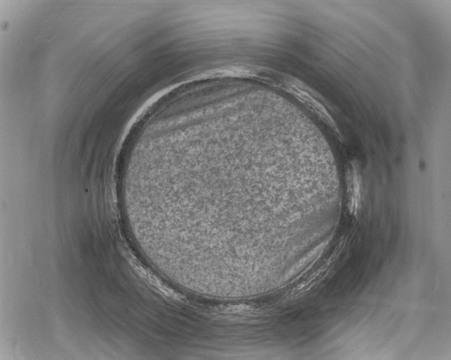 X0000078860784200611271411