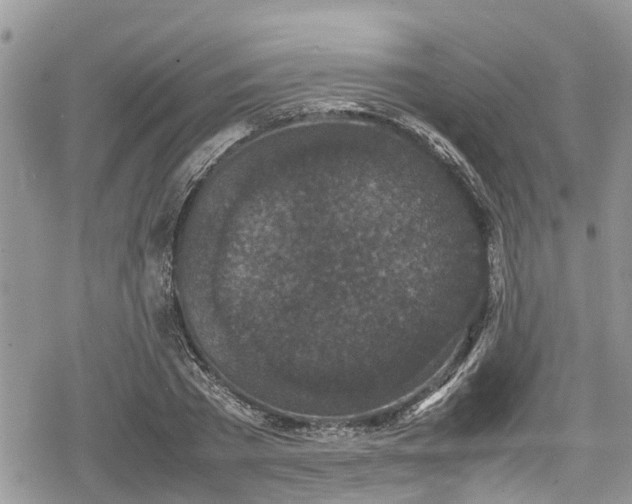 X0000078860785200611271411