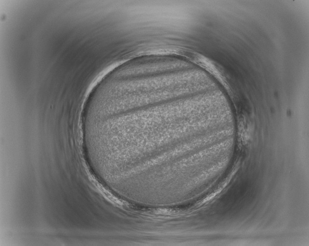 X0000078860787200611271410