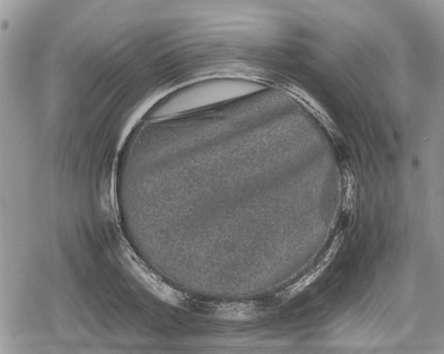 X0000078860788200611271410