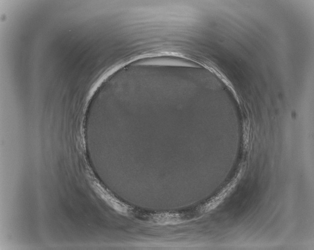 X0000078860789200611271410