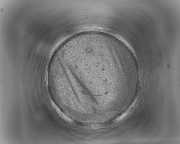 X0000078860791200611271410