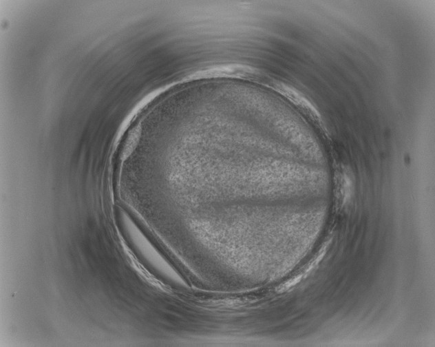 X0000078860792200611271410