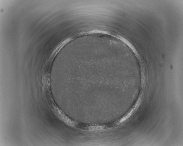 X0000078860793200611271410