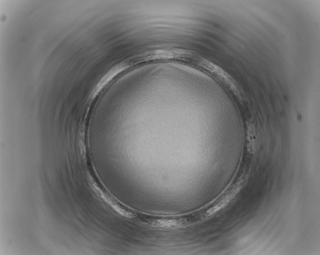 X0000078860794200611271410