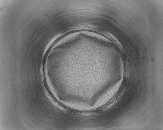 X0000078860796200611271410