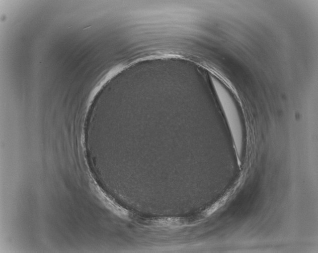 X0000078860797200611271410