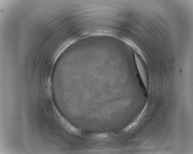 X0000078860798200611271410