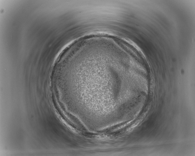 X0000078860799200611271410