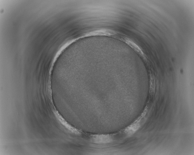 X0000078860800200611271410