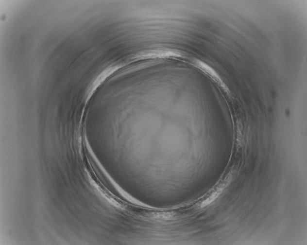 X0000078860802200611271410