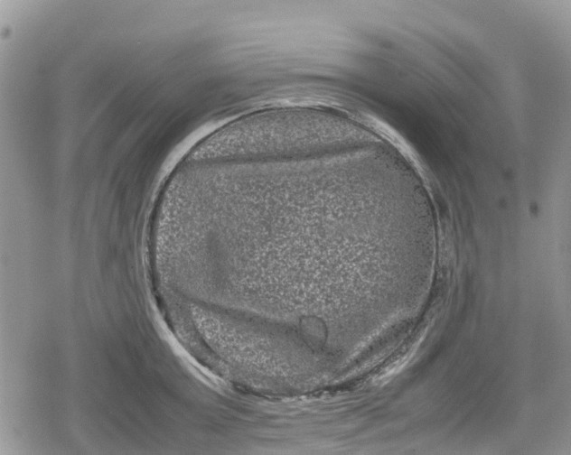 X0000078860803200611271410