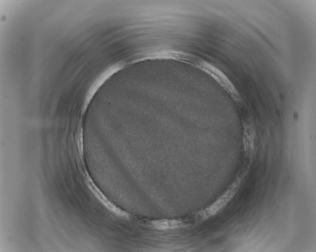 X0000078860804200611271410