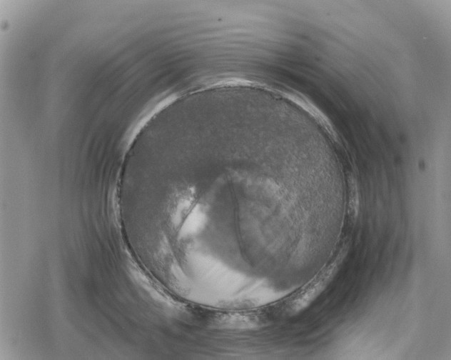 X0000078860806200611271410