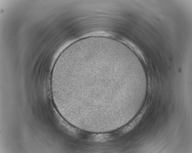 X0000078860808200611271410