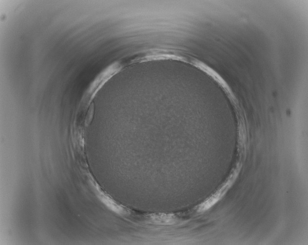 X0000078860809200611271410