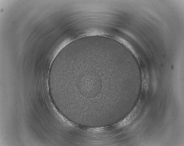 X0000078860810200611271410