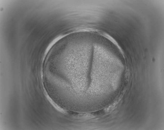 X0000078860811200611271410