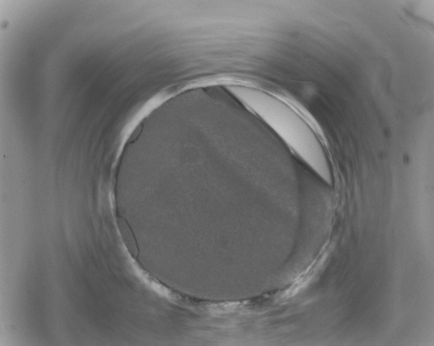 X0000078860813200611271410