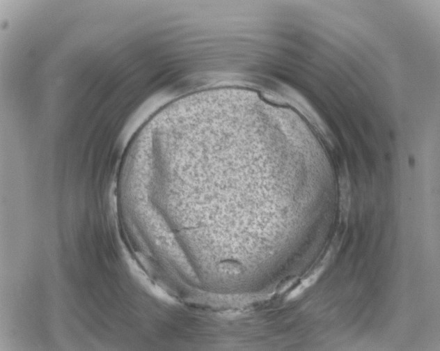 X0000078860814200611271410