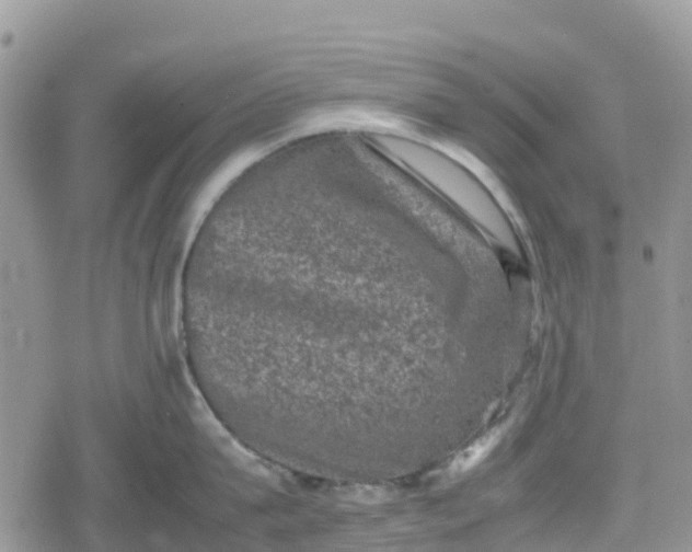 X0000078860815200611271410