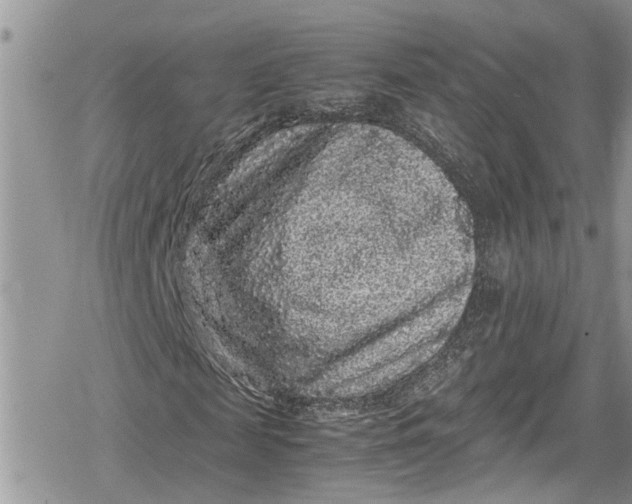 X0000078860817200611271409