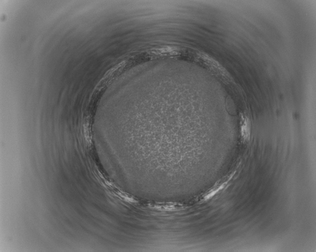 X0000078860819200611271409