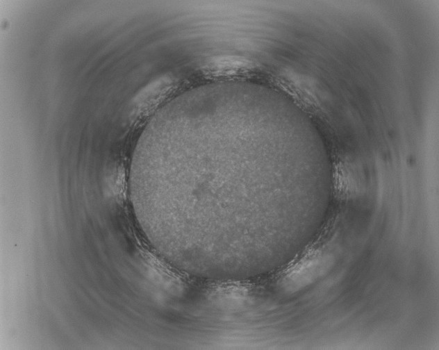 X0000078860820200611271409