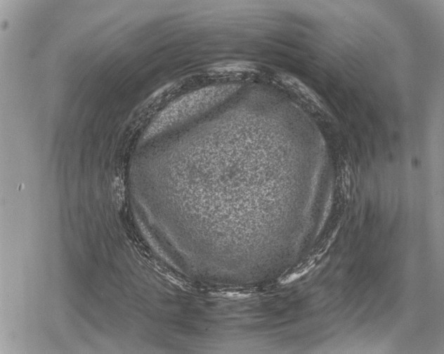 X0000078860821200611271409