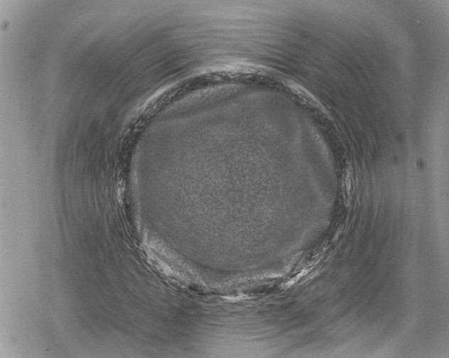 X0000078860822200611271409