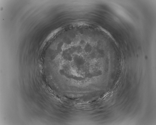 X0000078860823200611271409