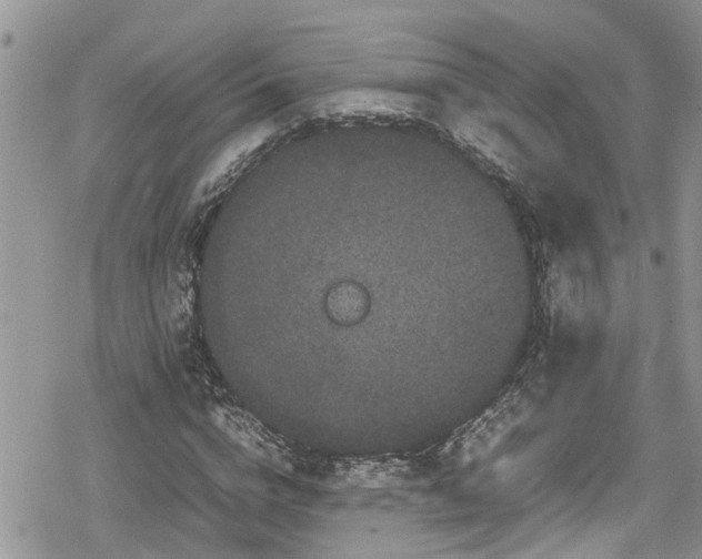 X0000078860824200611271409