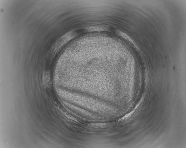 X0000078860825200611271409