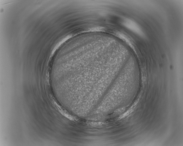 X0000078860827200611271409